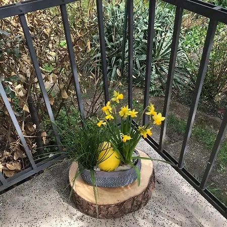 Chez Fabie Sélestat