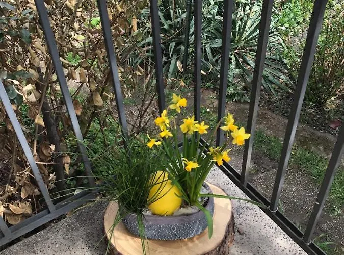 Chez Fabie Sélestat